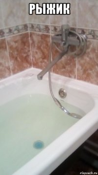 рыжик 