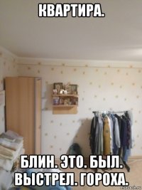 квартира. блин. это. был. выстрел. гороха.