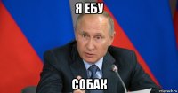 я ебу собак
