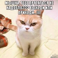 мышка, тебе прятаться не надоело??? выходи или приходи...))) 