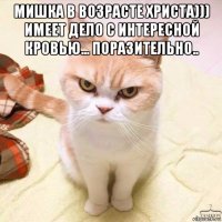 мишка в возрасте христа))) имеет дело с интересной кровью... поразительно.. 