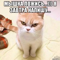 мышка ложись...))) я завтра напишу... 