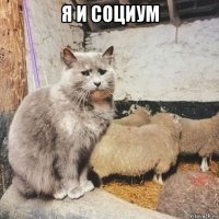 я и социум 