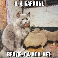 я. и. бараны. вроде. да. или. нет.