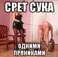 срет сука одними пряниками