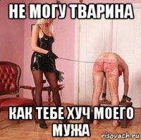 не могу тварина как тебе хуч моего мужа