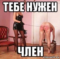 тебе нужен член