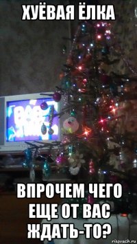 хуёвая ёлка впрочем чего еще от вас ждать-то?