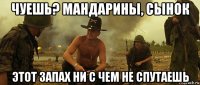 чуешь? мандарины, сынок этот запах ни с чем не спутаешь