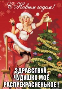  здравствуй, чудушко моё распрекрасненькое !