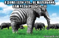 я дома если что... не маленький, сам разберёшься....))) 