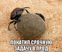  покатил срочную задачу в прод