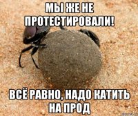 мы же не протестировали! всё равно, надо катить на прод