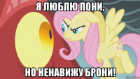 я люблю пони, но ненавижу брони!