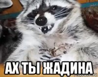  ах ты жадина