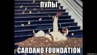 пулы cardano foundation