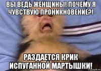 вы ведь женщины! почему я чувствую проникновение?! раздается крик испуганной мартышки!