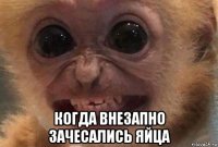  когда внезапно зачесались яйца