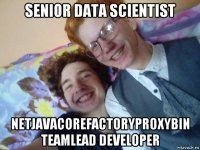 senior data scientist netjavacorefactoryproxybin teamlead developer