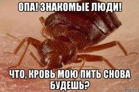 опа! знакомые люди! что, кровь мою пить снова будешь?