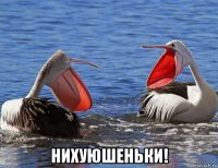  нихуюшеньки!