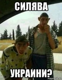 силява украини?