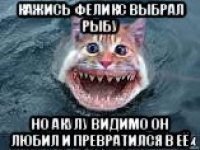 кажись феликс выбрал рыбу но акулу видимо он любил и превратился в её