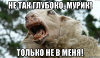 не так глубоко, мурик! только не в меня!