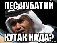 пес чубатий кутак нада?
