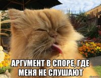  аргумент в споре, где меня не слушают