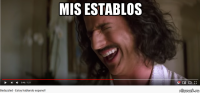 mis establos 