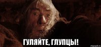  гуляйте, глупцы!