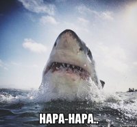  нара-нара..