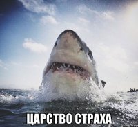  царство страха