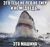 это тебе не лев не тигр и не медведь... это машина