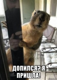  допился? я пришла!