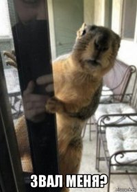  звал меня?