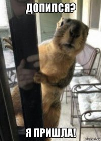допился? я пришла!