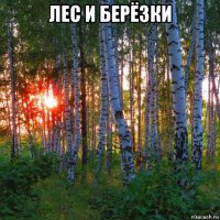 лес и берёзки 