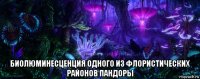  биолюминесценция одного из флористических районов пандоры