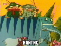  найтис