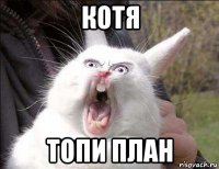 котя топи план