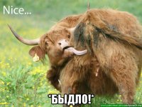  *быдло!*
