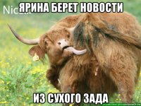 ярина берет новости из сухого зада