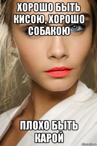 хорошо быть кисою, хорошо собакою плохо быть карой
