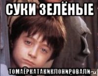 суки зелёные томаёркатакиклонировали
