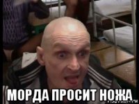  морда просит ножа