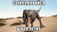сынку, ховайся шо то летит