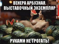 венера арбузная. выставочный экземпляр руками не трогать!