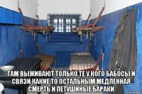  там выживают только те у кого бабосы и связи какие то остальным медленная смерть и петушиные бараки